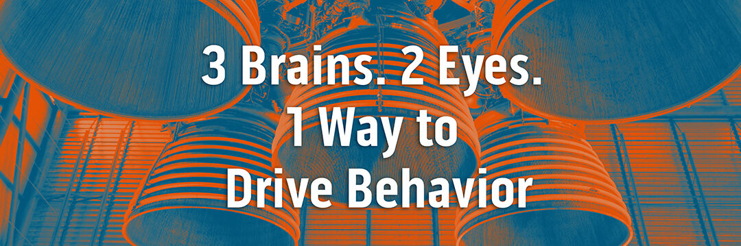 3 Brains, 2 Eyes, and 1 Way to Drive Behavior