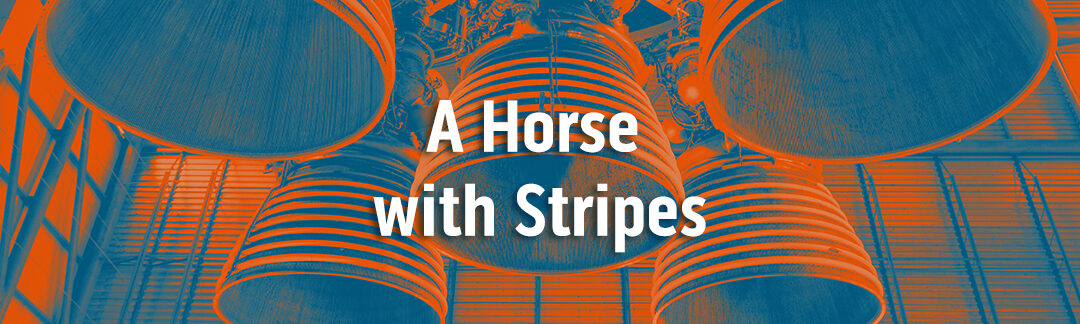 A Horse with Stripes